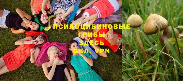 метадон Гусев