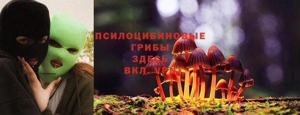 метадон Гусев