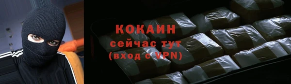 дживик Дмитриев