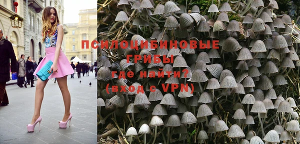 сатива Горняк