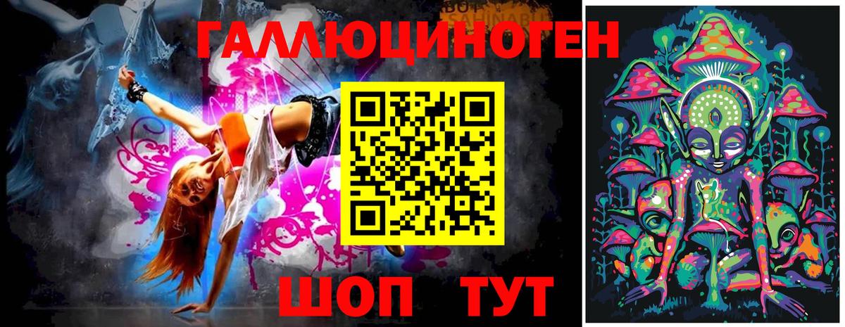 Псилоцибиновые грибы Psilocybine cubensis Городец